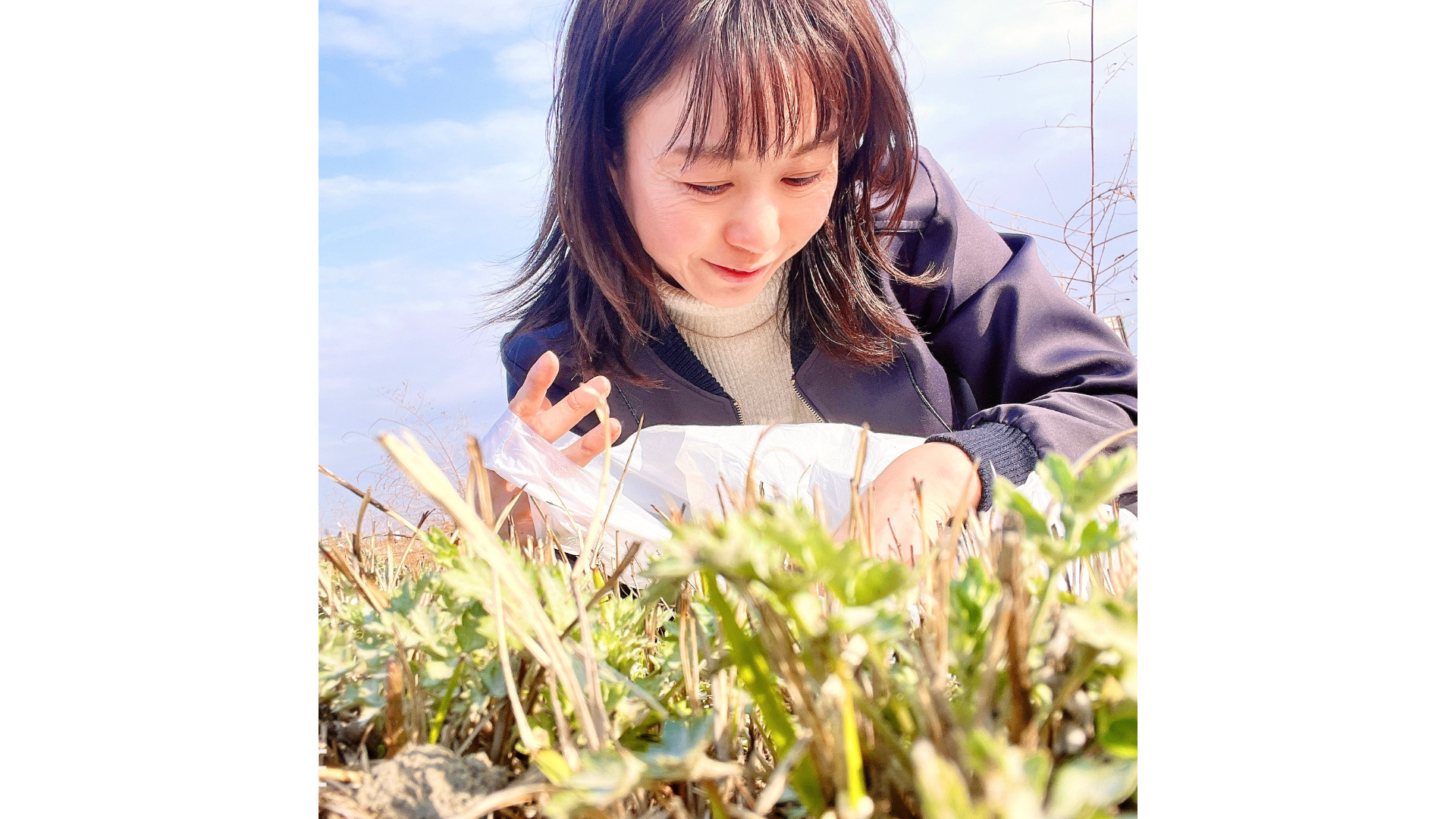 春が香るよもぎ